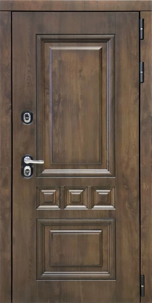 Входная дверь ДвериПРО Аура Фараон-2 (16мм, светлый мореный дуб) DPRO197047 внешняя сторона